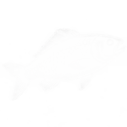 Esvicerado